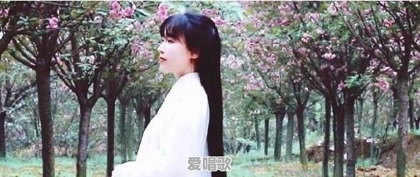 弹唱华语流行音乐有哪些 弹唱华语流行音乐有哪些 - 爱唱歌