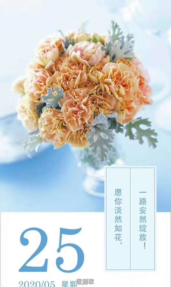 女生应该更注重外表还是应该更注重内在 女生应该更注重外表还是应该更注重内在 - 爱唱歌