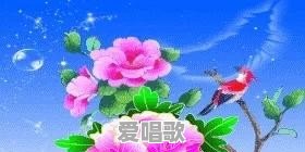 为什么《诗刊》发表的诗读不懂,反而被人说成好诗 - 爱唱歌