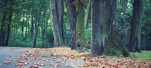 电音之王的背景是什么 电音之王的背景是什么 - 爱唱歌