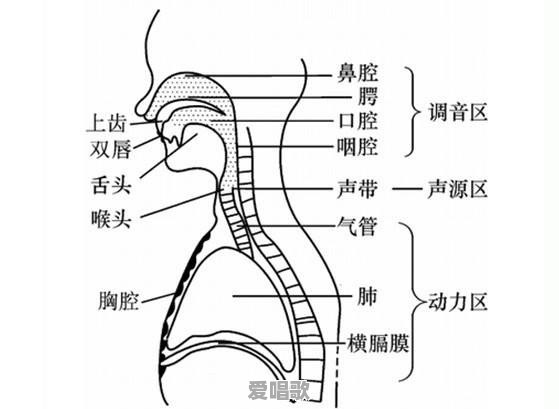 请问各位麦霸，高音怎么练习 - 爱唱歌