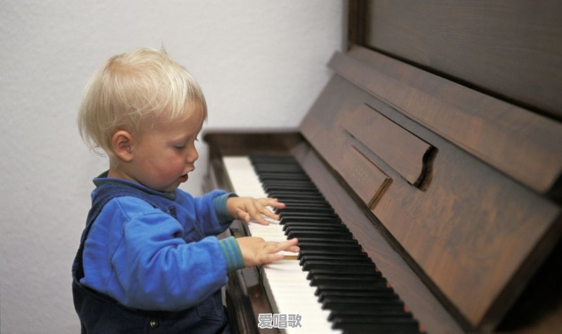59岁，没有音乐基础却想学电子琴或手风琴，该选哪种乐器？
 - 爱唱歌