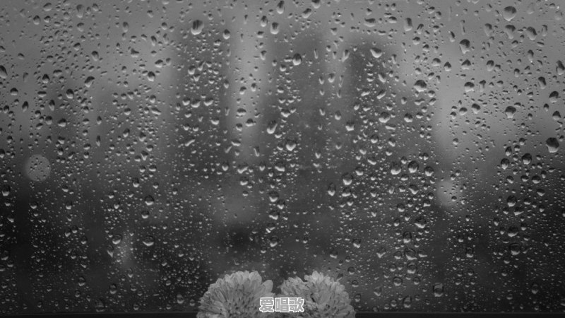 最红经典的网络歌曲大全 最红经典的网络歌曲大全 - 爱唱歌