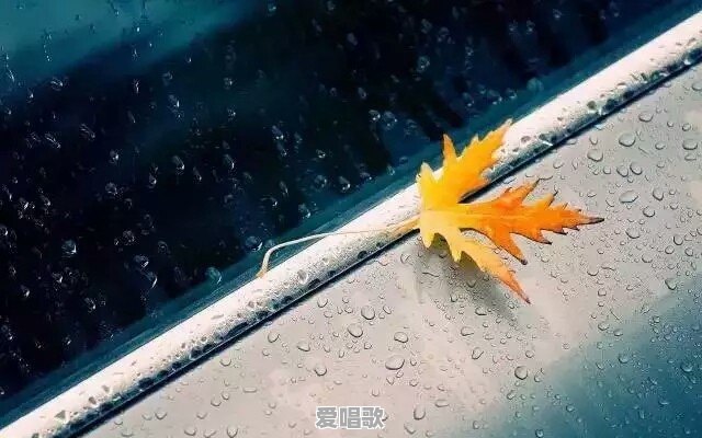 调情师唱歌技巧分享视频 调情师唱歌技巧分享视频 - 爱唱歌