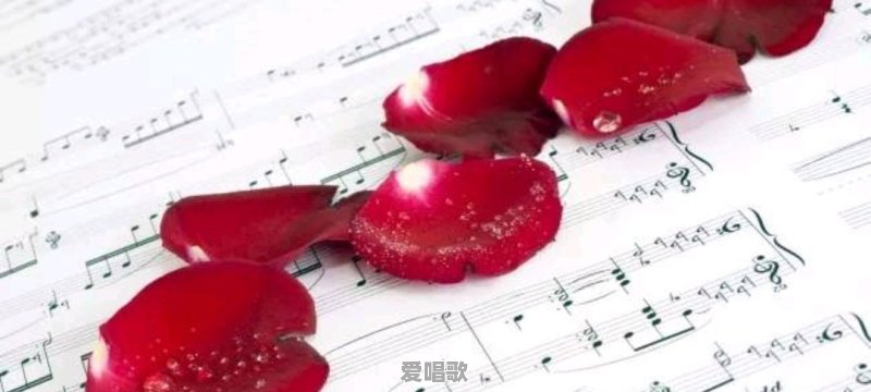 二胡经典插曲 二胡经典插曲 - 爱唱歌