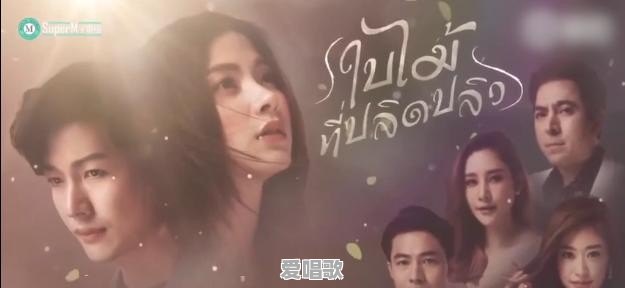 舍爱歌曲的歌词 舍爱歌曲的歌词 - 爱唱歌