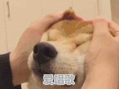 街头网红大爷歌手是谁 - 爱唱歌