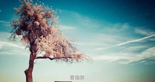 望而却步粤语版歌曲表达的意思 - 爱唱歌