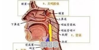 声线细的唱歌技巧有哪些 声线细的唱歌技巧有哪些 - 爱唱歌