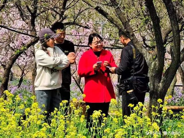 桃花园里直播美景