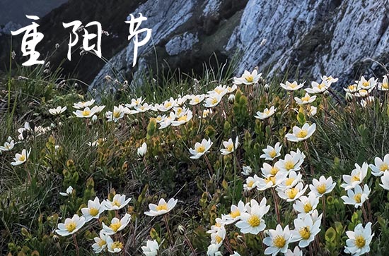 重阳节的发源地 重阳节的起源故事 重阳节的发源地 重阳节的起源故事