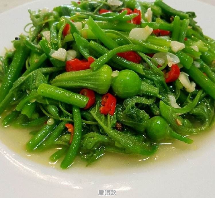 南瓜尖怎么调好吃 南瓜尖怎么调好吃 - 爱唱歌