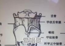 唱歌唱弱声技巧有哪些 唱歌唱弱声技巧有哪些 - 爱唱歌