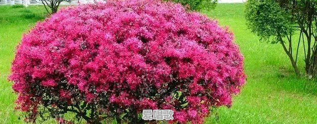 打球粤语歌曲有哪些 打球粤语歌曲有哪些 - 爱唱歌