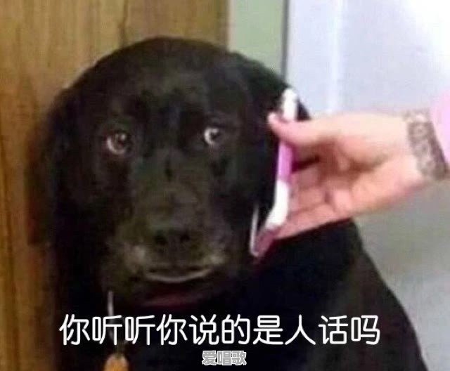 陕西面食歌词 陕西面食歌词 - 爱唱歌