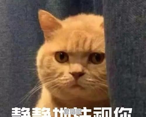 逗比网络歌曲歌词大全 逗比网络歌曲歌词大全 - 爱唱歌