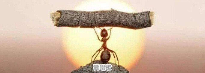 雨后的天空才会有彩虹是什么歌 雨后的天空才会有彩虹是什么歌 - 爱唱歌