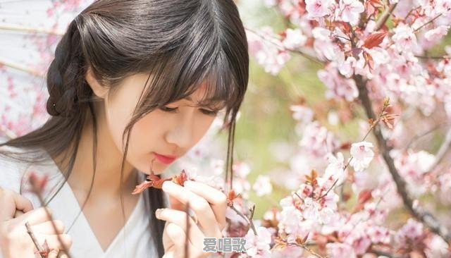 网红歌手漳州蕙兰是谁 网红歌手漳州蕙兰是谁 - 爱唱歌