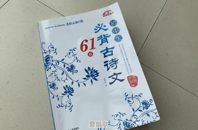 百看不厌的流行歌曲歌词是什么 - 爱唱歌