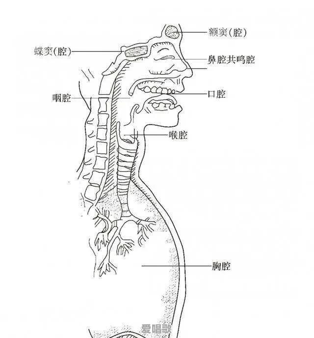 说话气不足怎么练 说话气不足怎么练 - 爱唱歌