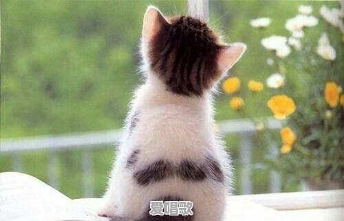 分手了非常想念前任怎么办，每天很难过 - 爱唱歌