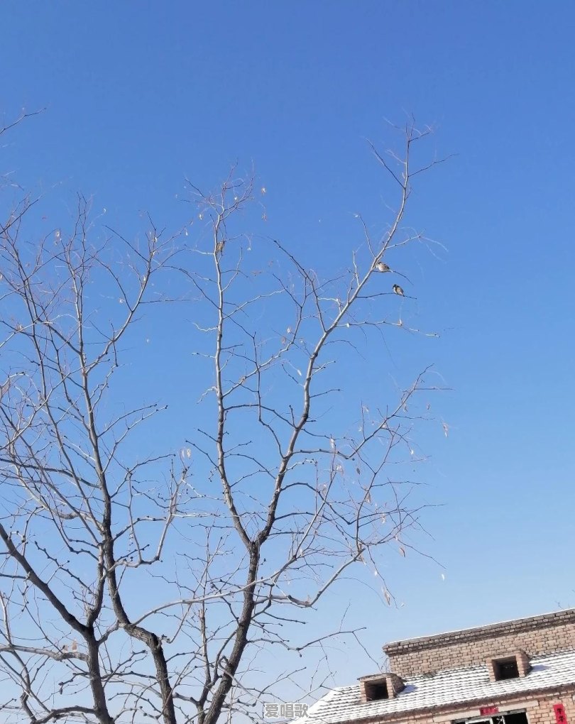 985真的能决定一个人的未来吗 985真的能决定一个人的未来吗 - 爱唱歌