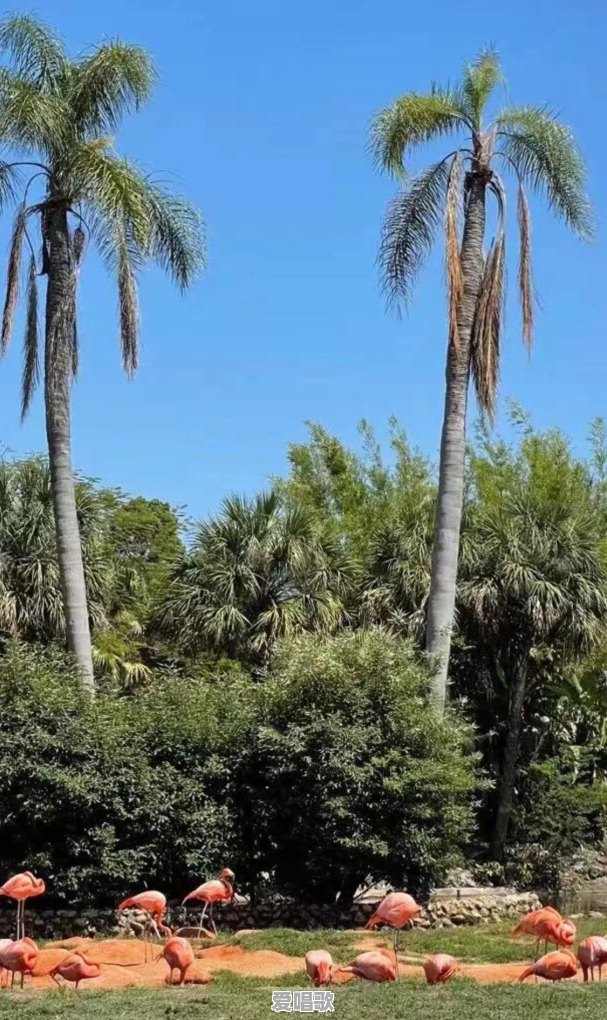 串门子歌词复制 串门子歌词复制 - 爱唱歌