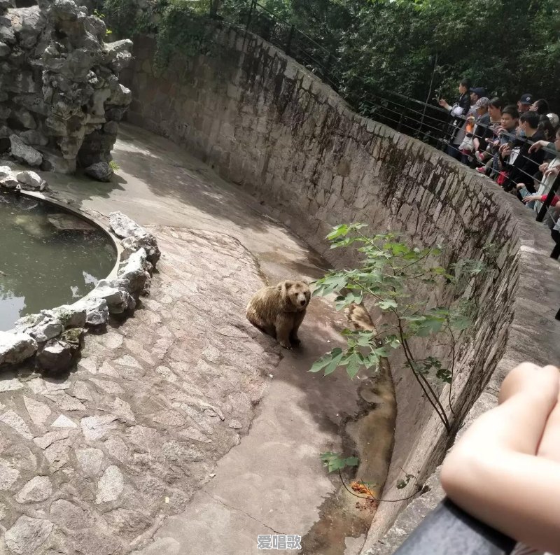 如果只让孩子看书，不让他（她）看电视剧、娱乐节目等，会培养出一个有气质的孩子吗 - 爱唱歌