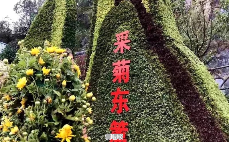 范闲和徐凤年是同一个人吗 - 爱唱歌