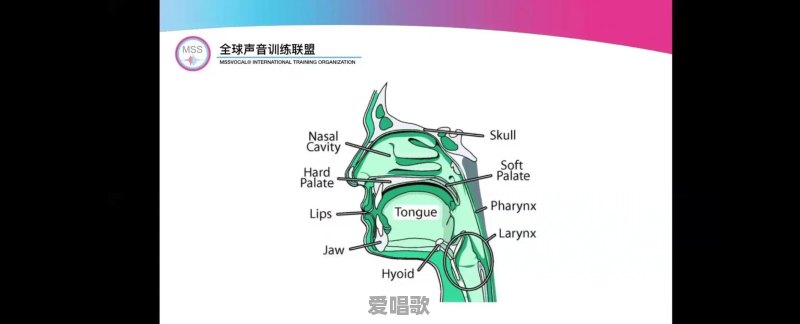 拍同款怎样看见歌词跟着唱 拍同款怎样看见歌词跟着唱 - 爱唱歌