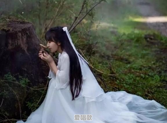 茉莉花是怎么样的歌曲呢 - 爱唱歌