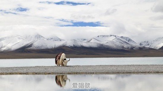 想听一首很火的流行歌曲有哪些 想听一首很火的流行歌曲有哪些 - 爱唱歌