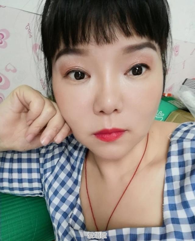 真正的网络好歌曲歌词意思是什么 真正的网络好歌曲歌词意思是什么 - 爱唱歌