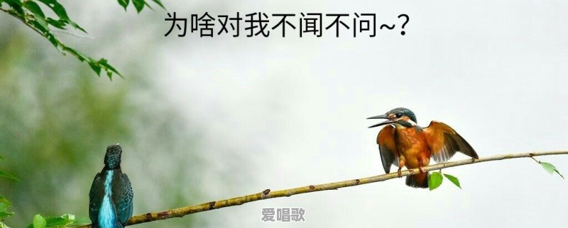 热恋过后歌词庄心妍 - 爱唱歌
