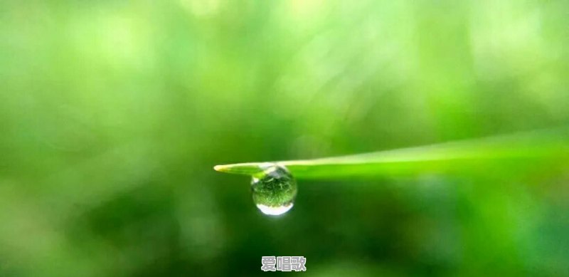 我知道流行音乐是什么歌 我知道流行音乐是什么歌 - 爱唱歌