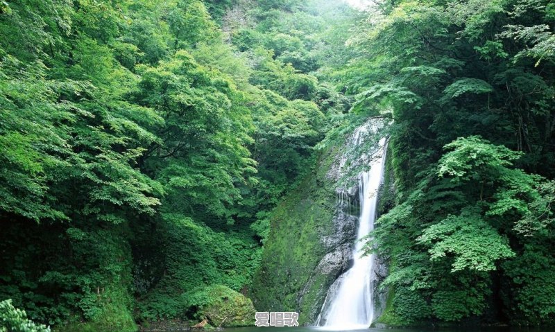 有什么不发火的网络歌曲推荐 有什么不发火的网络歌曲推荐 - 爱唱歌