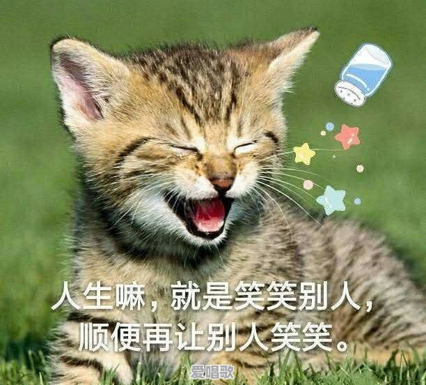 网络语很火的英文歌曲有哪些 - 爱唱歌