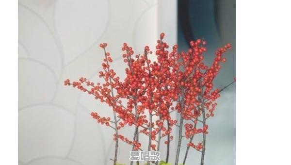 同仁艺体实验中学有高中吗 同仁艺体实验中学有高中吗 - 爱唱歌