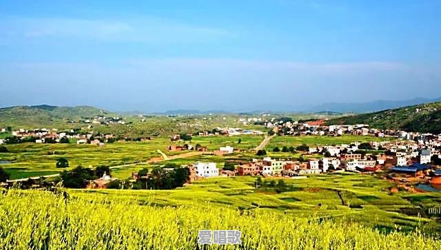 忘忧草唱歌技巧是什么 - 爱唱歌