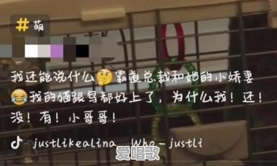 在抖音怎么唱歌?需要怎么操作和什么设备 在抖音怎么唱歌?需要怎么操作和什么设备 - 爱唱歌