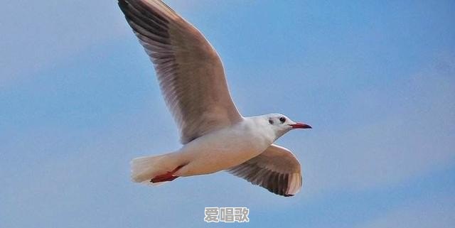 苏慧伦秋天的海歌词 苏慧伦秋天的海歌词 - 爱唱歌