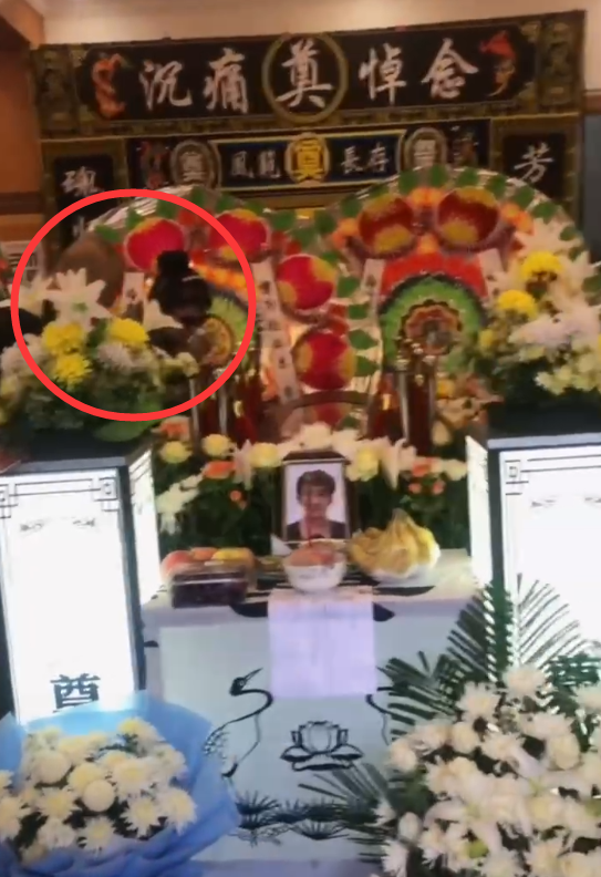 网红东东办葬礼,母亲在灵堂内崩溃大哭,前妻晒合影曝离婚真相