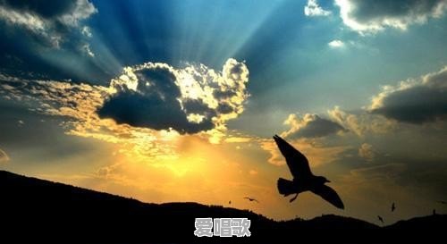 你笑的时候星星都落在我头上歌词 - 爱唱歌