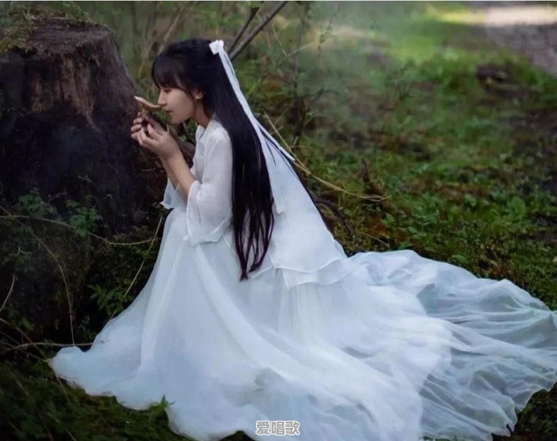 央视及各大媒体点赞网红李子柒,你怎么看 央视及各大媒体点赞网红李子柒,你怎么看 - 爱唱歌