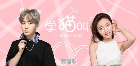专业歌手有多嫌弃网络歌曲吗 - 爱唱歌