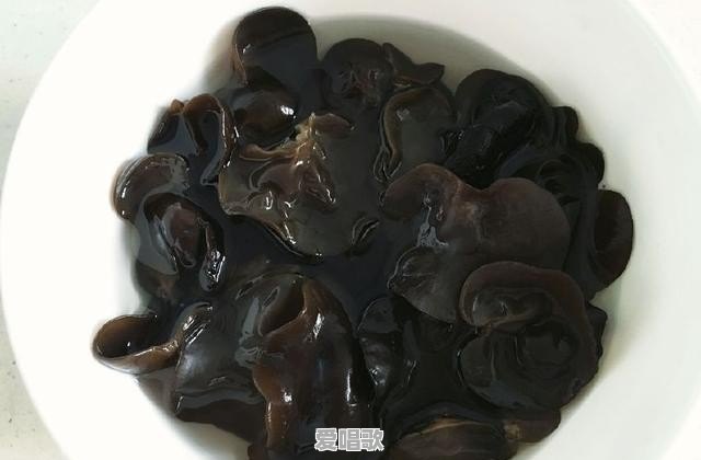 六月的风七月的雨什么歌 - 爱唱歌