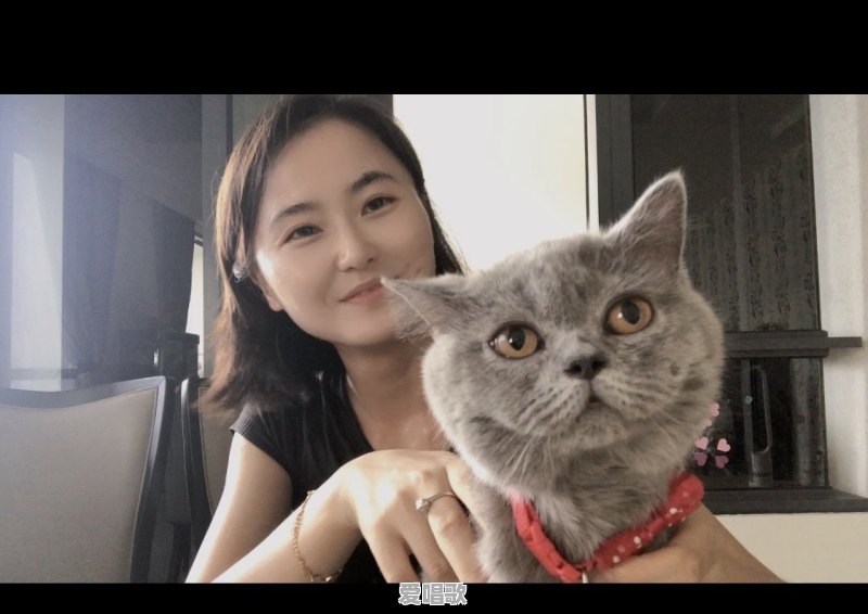 ps在新媒体领域有哪些 ps在新媒体领域有哪些 - 爱唱歌