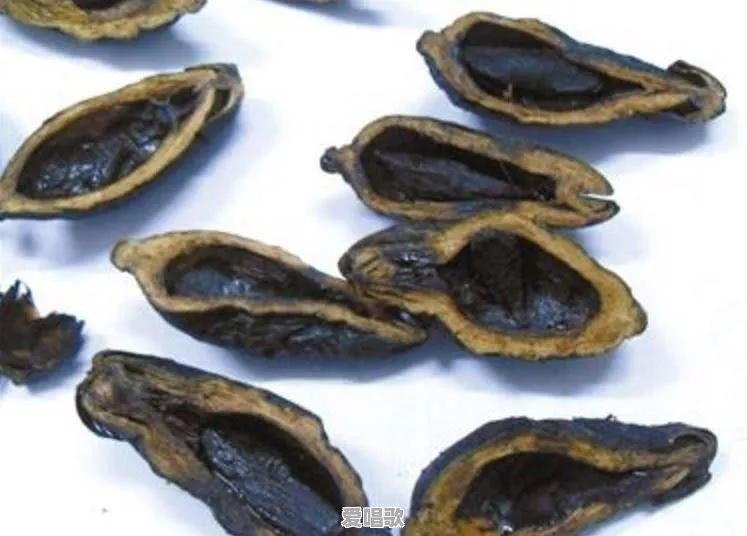 种菜口诀什么季节种什么菜 种菜口诀什么季节种什么菜 - 爱唱歌