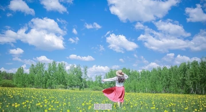专业小司机怎么发朋友圈 专业小司机怎么发朋友圈 - 爱唱歌