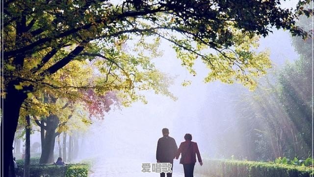 少年夫妻老来伴歌词牛歌演唱 少年夫妻老来伴歌词牛歌演唱 - 爱唱歌